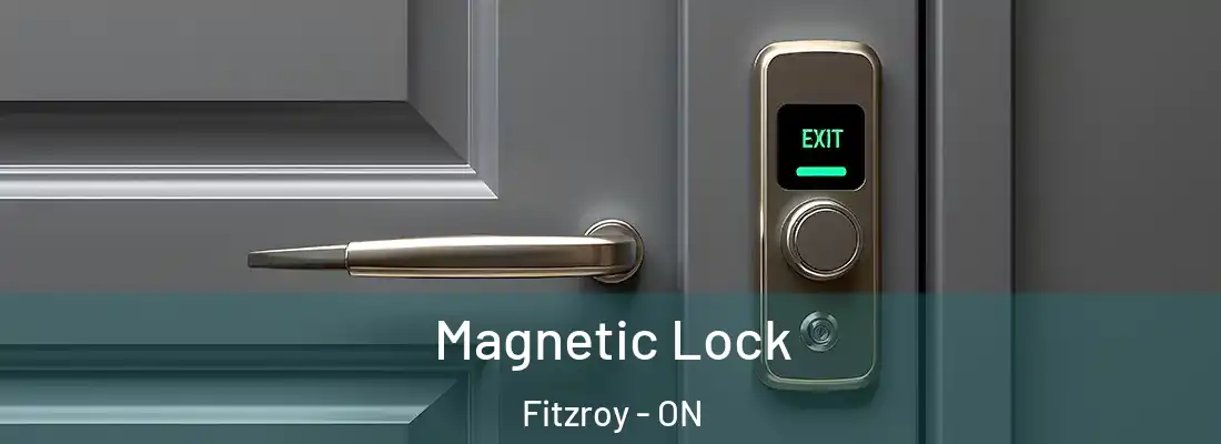  Magnetic Lock Fitzroy - ON
