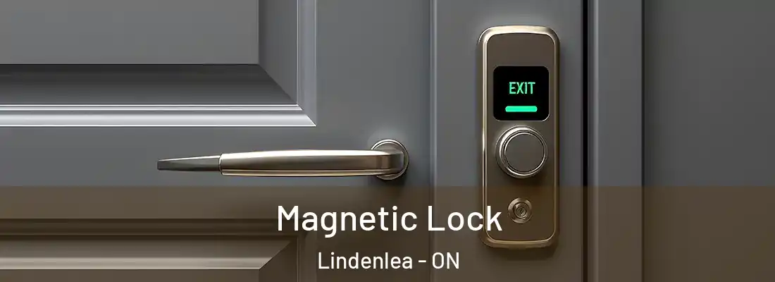  Magnetic Lock Lindenlea - ON