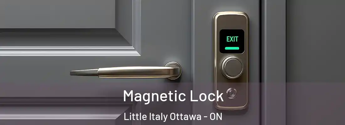  Magnetic Lock Little Italy Ottawa - ON