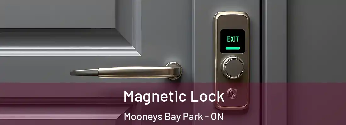  Magnetic Lock Mooneys Bay Park - ON
