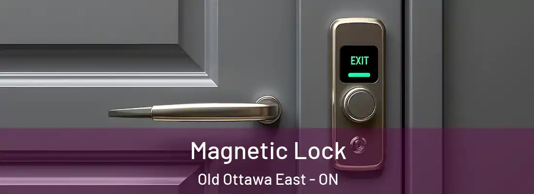  Magnetic Lock Old Ottawa East - ON