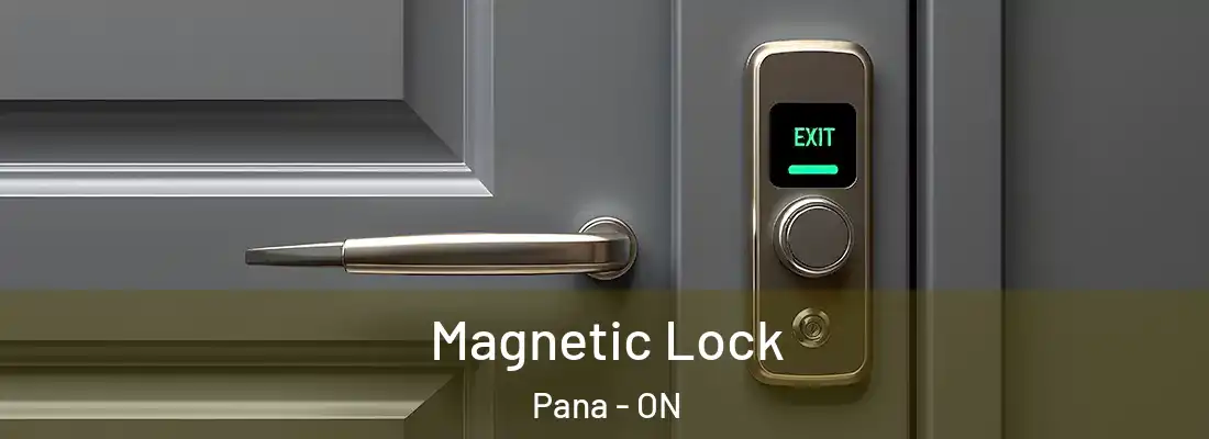  Magnetic Lock Pana - ON