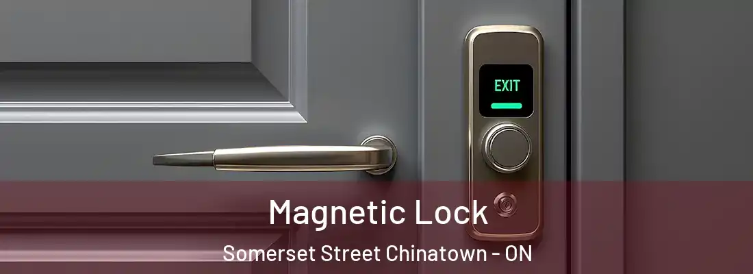  Magnetic Lock Somerset Street Chinatown - ON