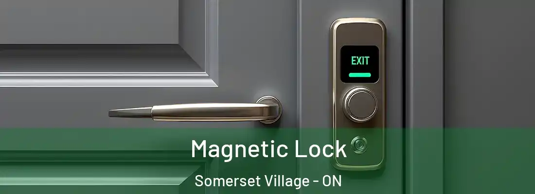 Magnetic Lock Somerset Village - ON