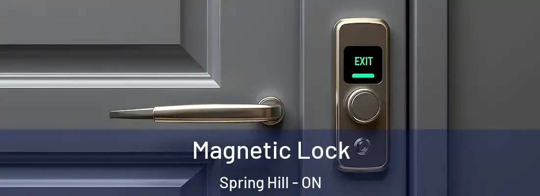  Magnetic Lock Spring Hill - ON