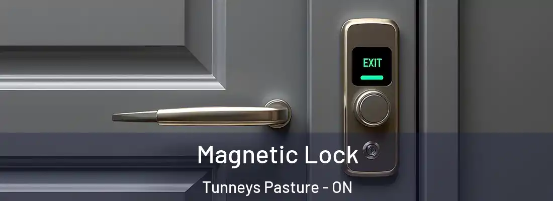  Magnetic Lock Tunneys Pasture - ON