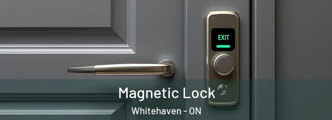  Magnetic Lock Whitehaven - ON