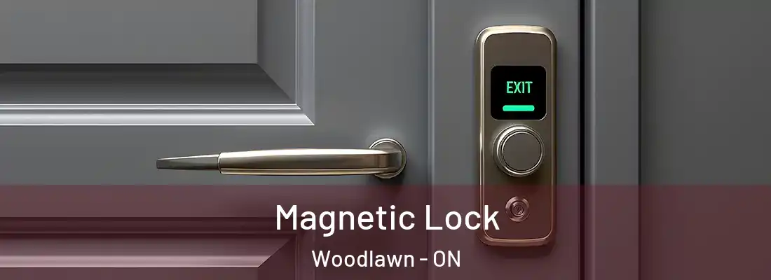  Magnetic Lock Woodlawn - ON