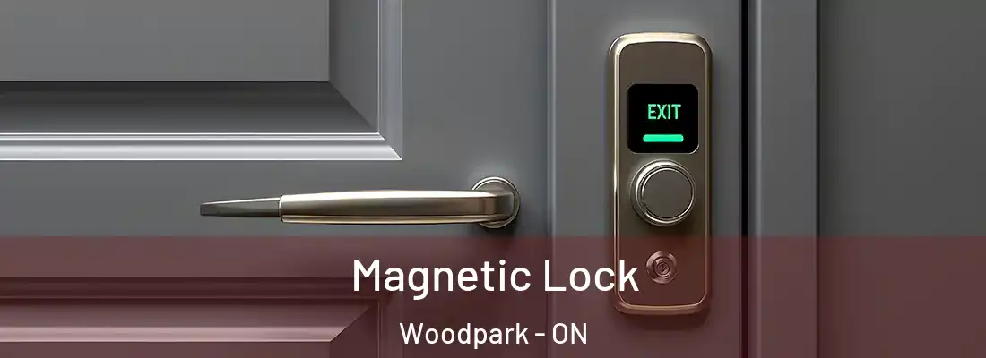  Magnetic Lock Woodpark - ON