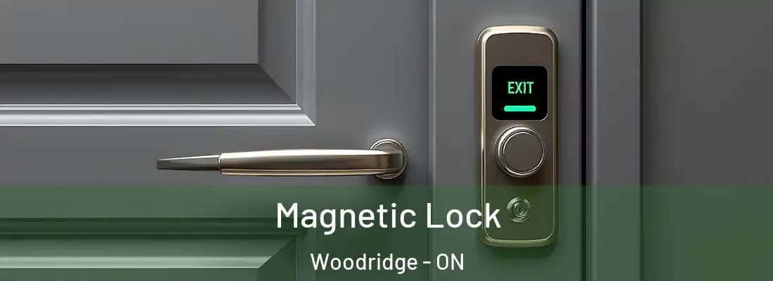  Magnetic Lock Woodridge - ON