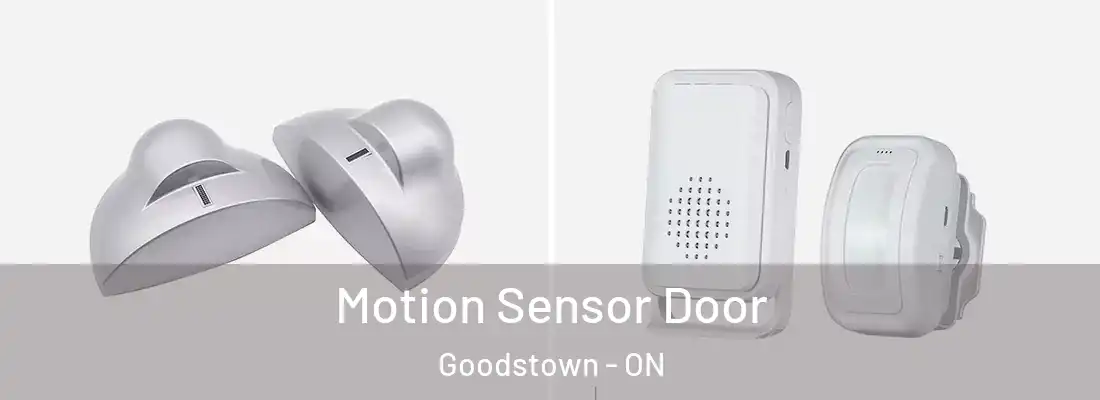  Motion Sensor Door Goodstown - ON