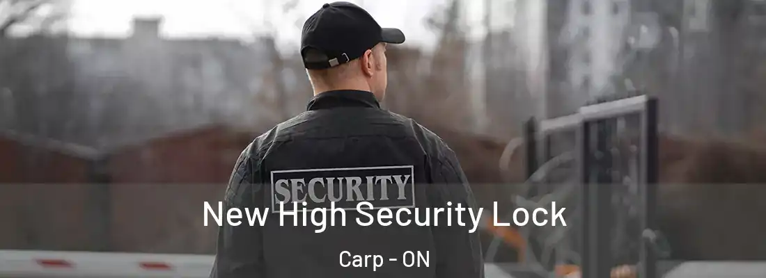  New High Security Lock Carp - ON