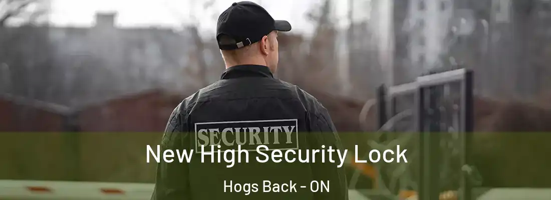  New High Security Lock Hogs Back - ON