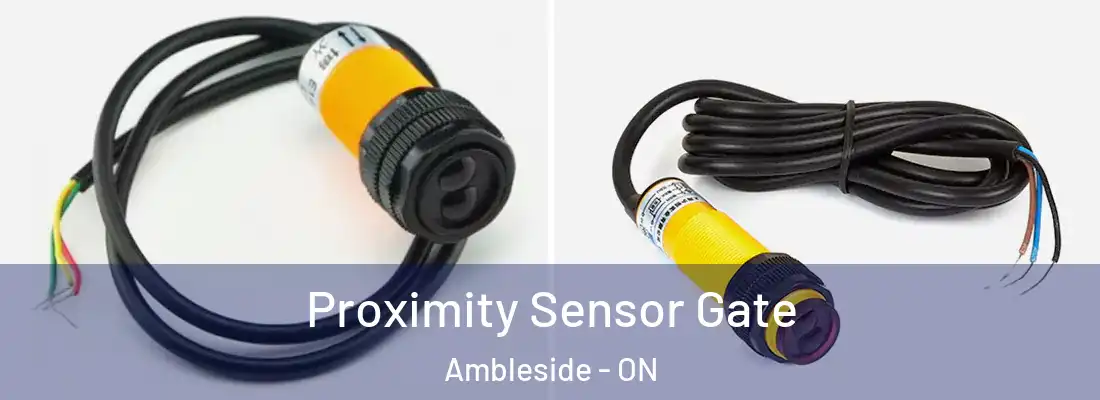  Proximity Sensor Gate Ambleside - ON