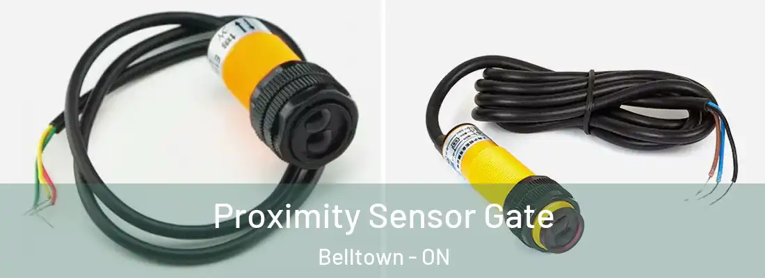  Proximity Sensor Gate Belltown - ON