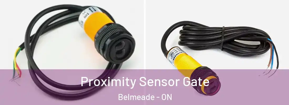  Proximity Sensor Gate Belmeade - ON
