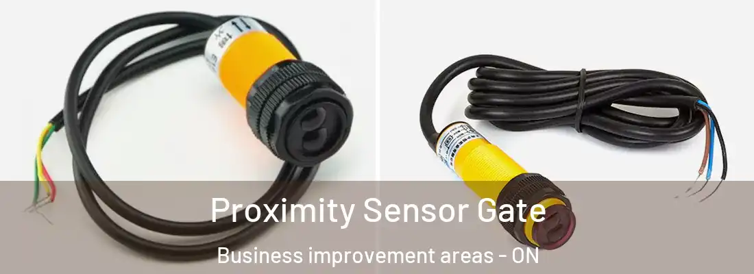  Proximity Sensor Gate Business improvement areas - ON
