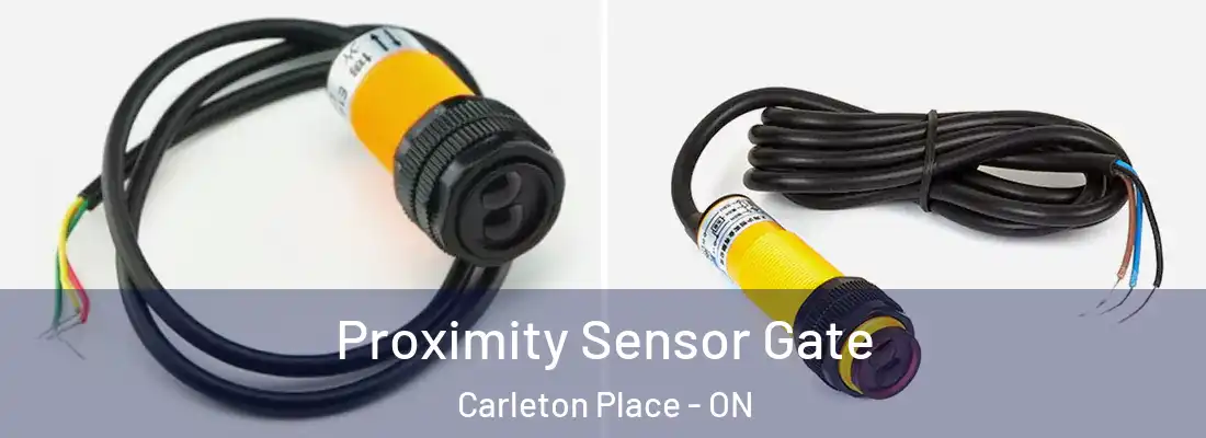  Proximity Sensor Gate Carleton Place - ON