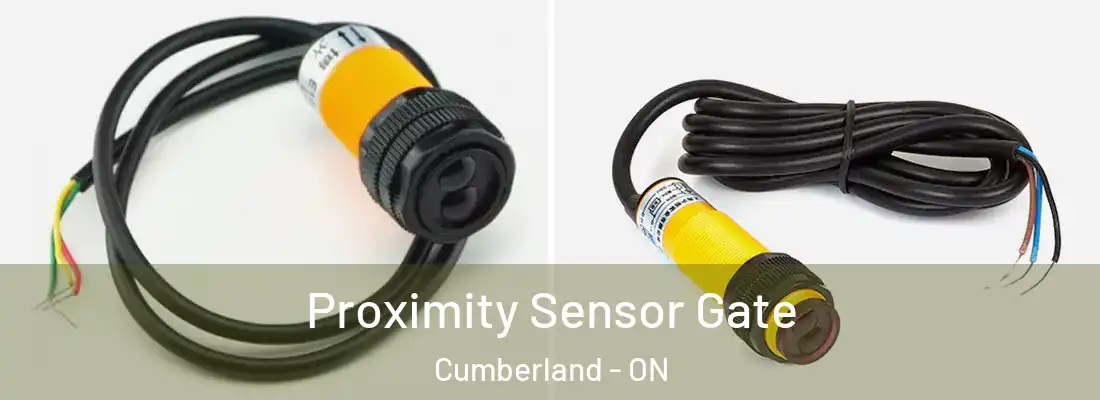  Proximity Sensor Gate Cumberland - ON