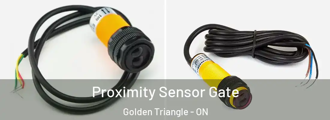  Proximity Sensor Gate Golden Triangle - ON