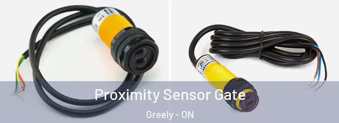  Proximity Sensor Gate Greely - ON