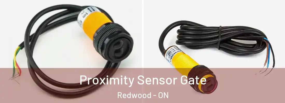  Proximity Sensor Gate Redwood - ON