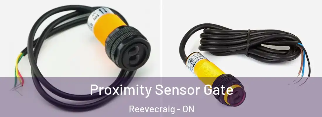  Proximity Sensor Gate Reevecraig - ON