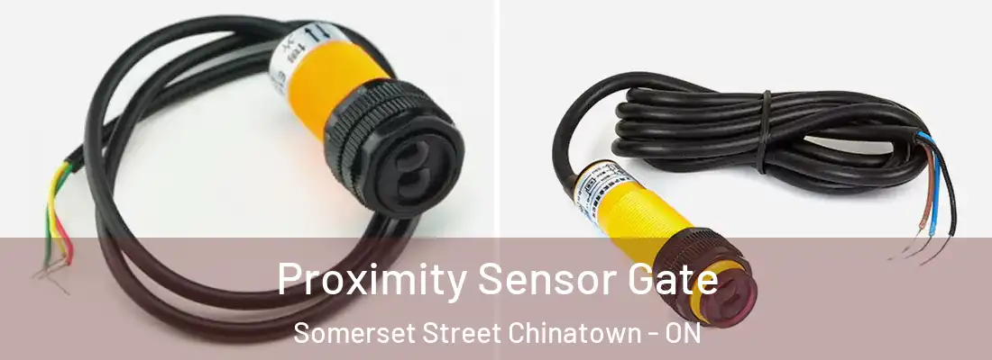  Proximity Sensor Gate Somerset Street Chinatown - ON