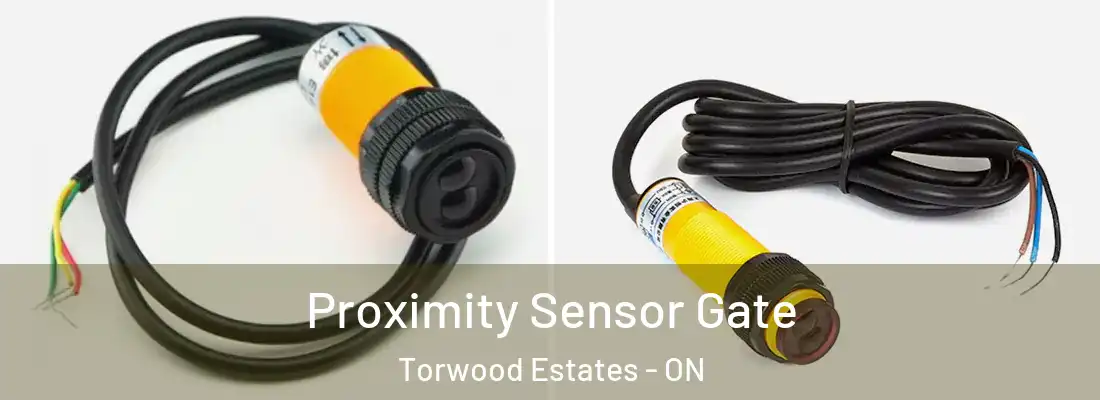  Proximity Sensor Gate Torwood Estates - ON