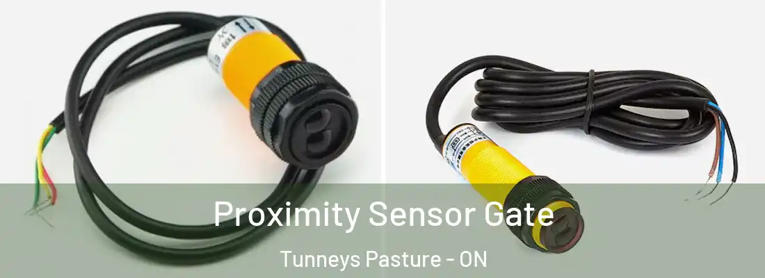  Proximity Sensor Gate Tunneys Pasture - ON