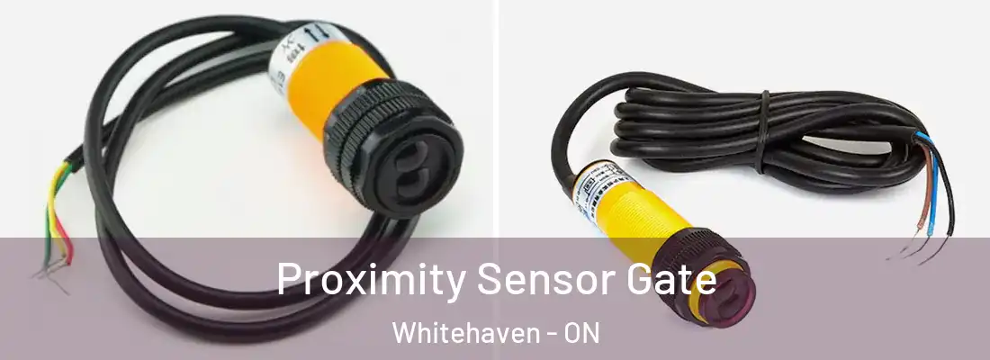  Proximity Sensor Gate Whitehaven - ON