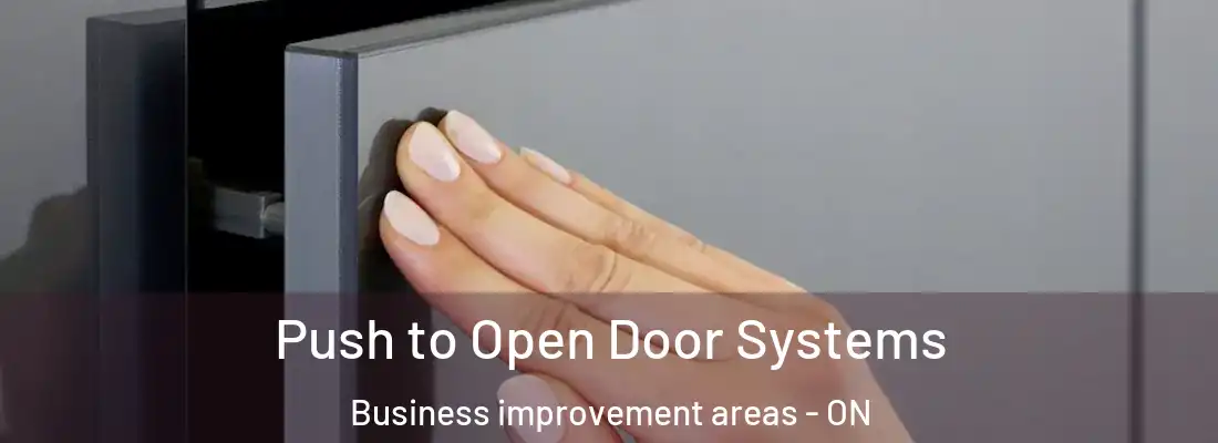 Push to Open Door Systems Business improvement areas - ON