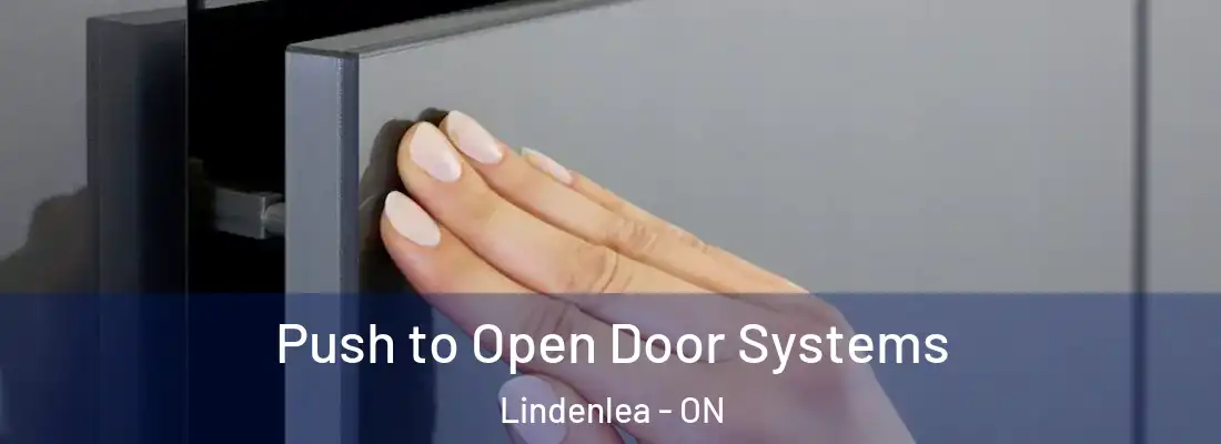  Push to Open Door Systems Lindenlea - ON