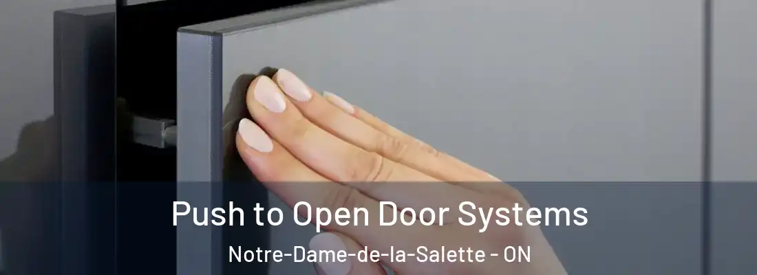  Push to Open Door Systems Notre-Dame-de-la-Salette - ON