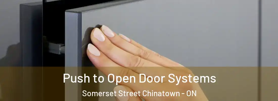  Push to Open Door Systems Somerset Street Chinatown - ON