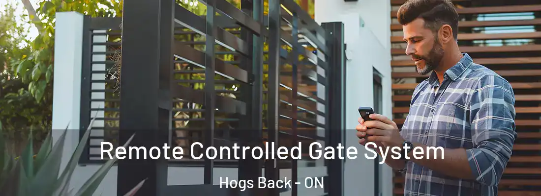  Remote Controlled Gate System Hogs Back - ON
