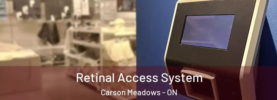  Retinal Access System Carson Meadows - ON