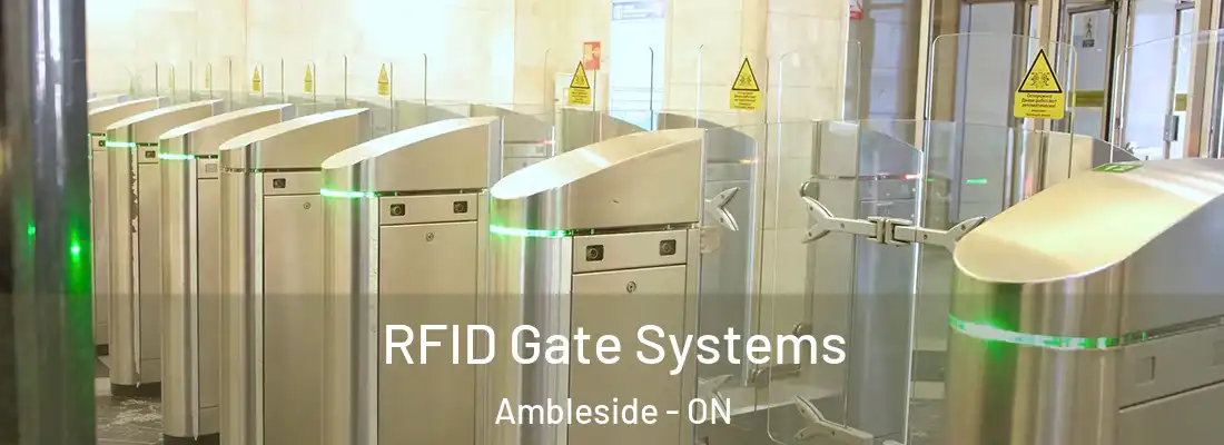 RFID Gate Systems Ambleside - ON