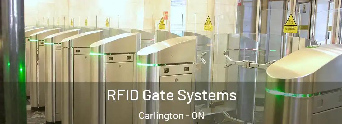  RFID Gate Systems Carlington - ON