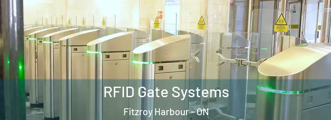  RFID Gate Systems Fitzroy Harbour - ON