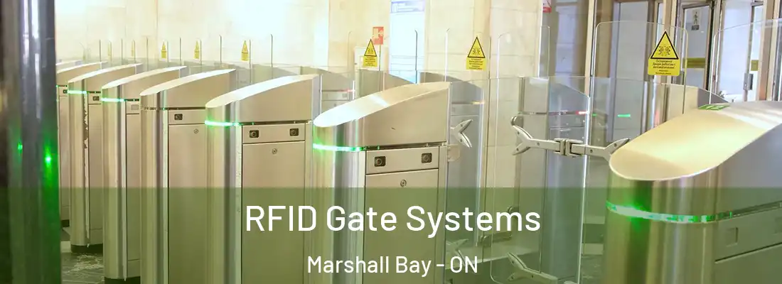  RFID Gate Systems Marshall Bay - ON