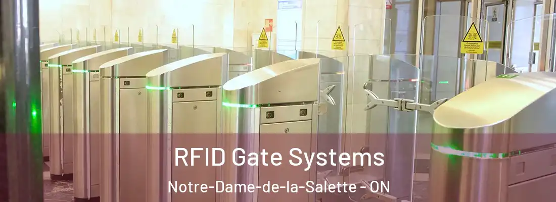  RFID Gate Systems Notre-Dame-de-la-Salette - ON