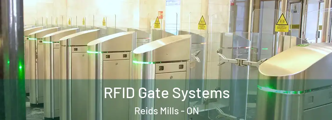  RFID Gate Systems Reids Mills - ON