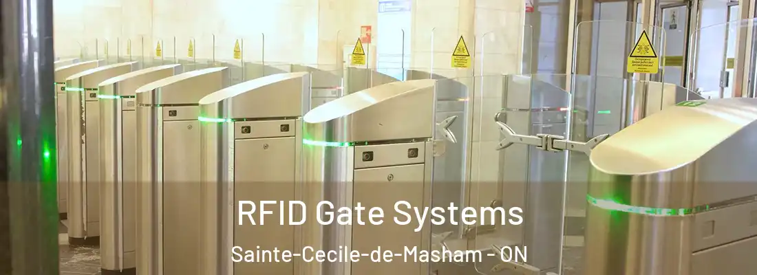  RFID Gate Systems Sainte-Cecile-de-Masham - ON