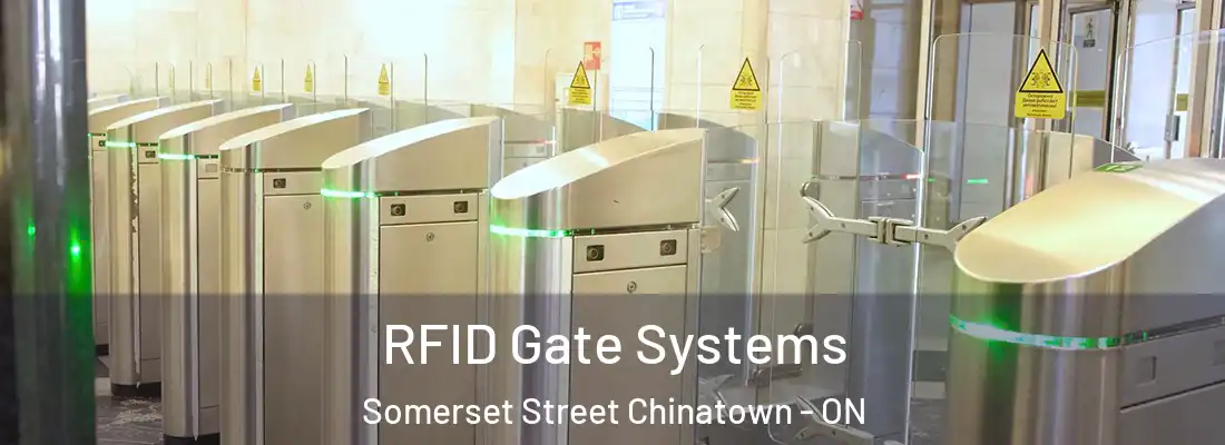  RFID Gate Systems Somerset Street Chinatown - ON
