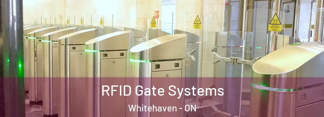  RFID Gate Systems Whitehaven - ON