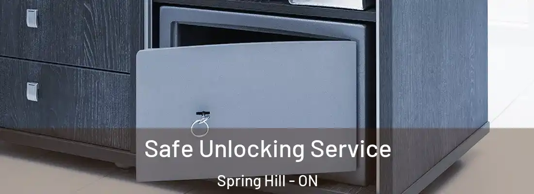  Safe Unlocking Service Spring Hill - ON