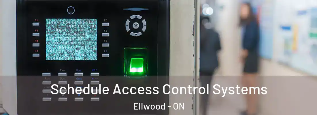  Schedule Access Control Systems Ellwood - ON