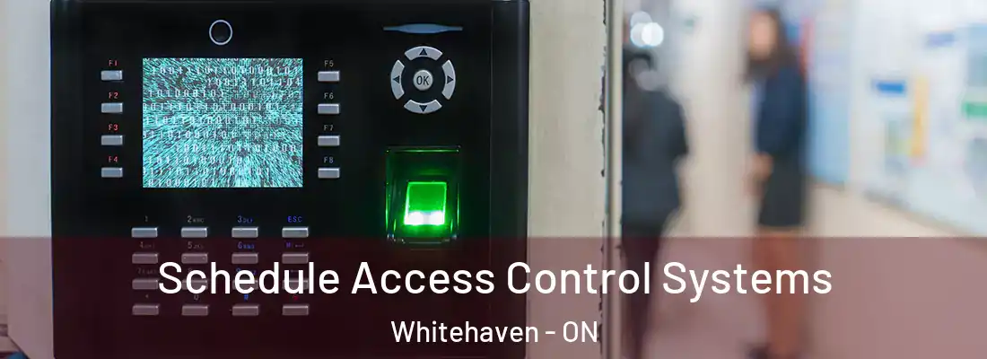  Schedule Access Control Systems Whitehaven - ON