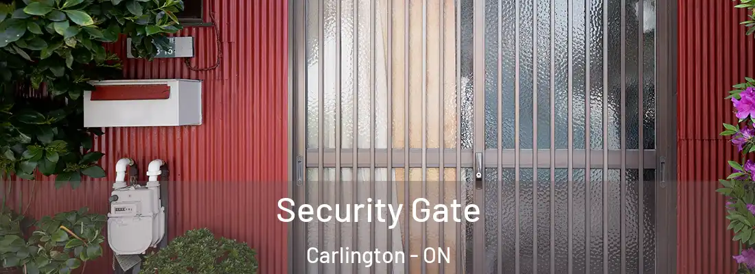  Security Gate Carlington - ON